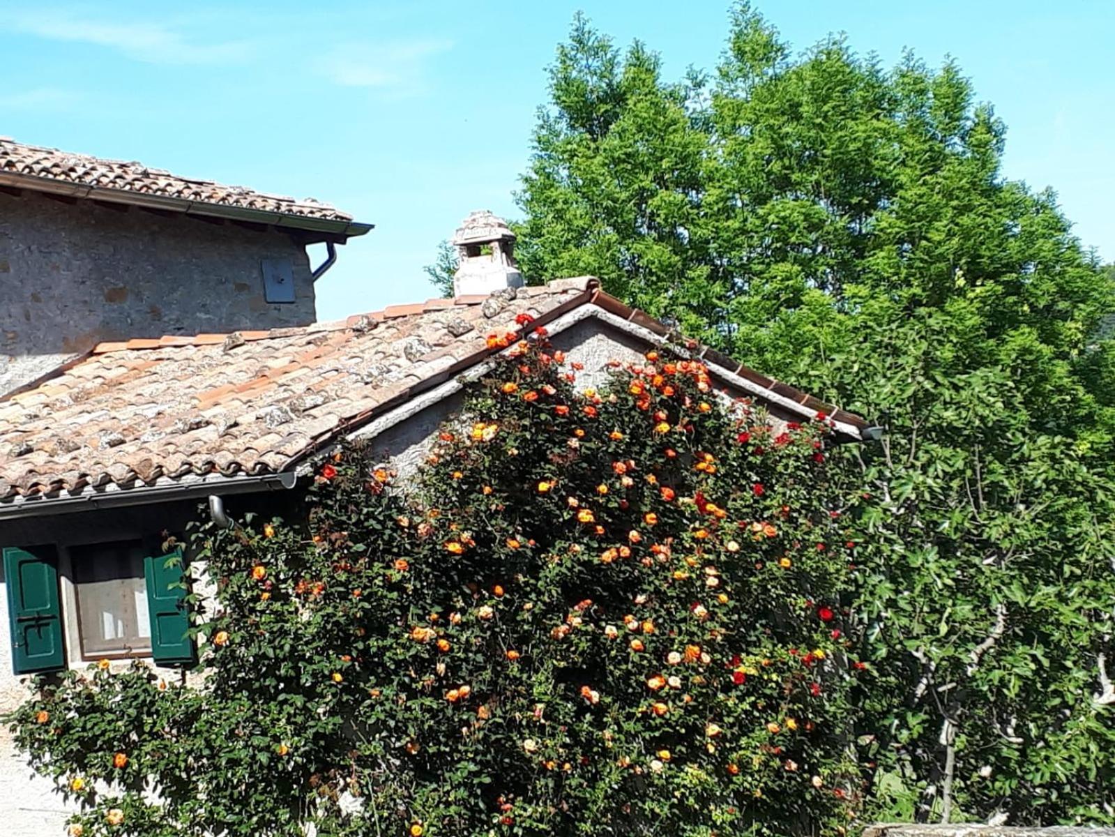 Neviano degli Arduini La Corte Bonomini Bed & Breakfast エクステリア 写真