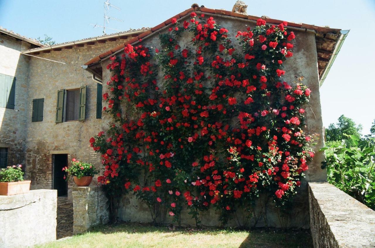 Neviano degli Arduini La Corte Bonomini Bed & Breakfast エクステリア 写真