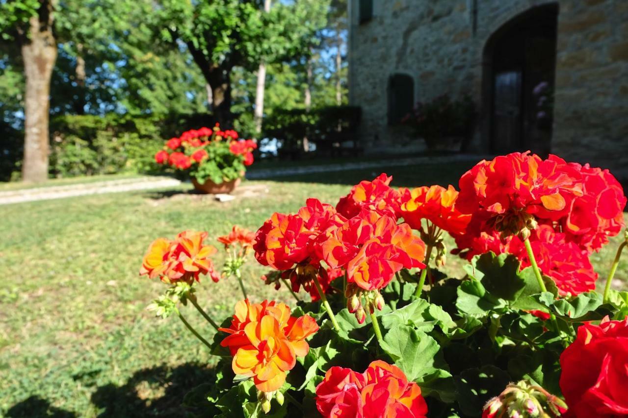 Neviano degli Arduini La Corte Bonomini Bed & Breakfast エクステリア 写真